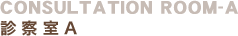 CONSULTATION ROOM-A�b�f�@��A